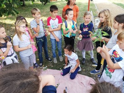 Teremtés hete a Rózsakerti refiben